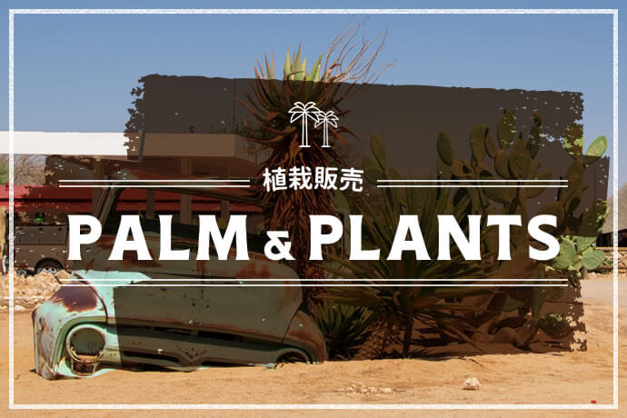 植栽販売 PALM & PLANTS